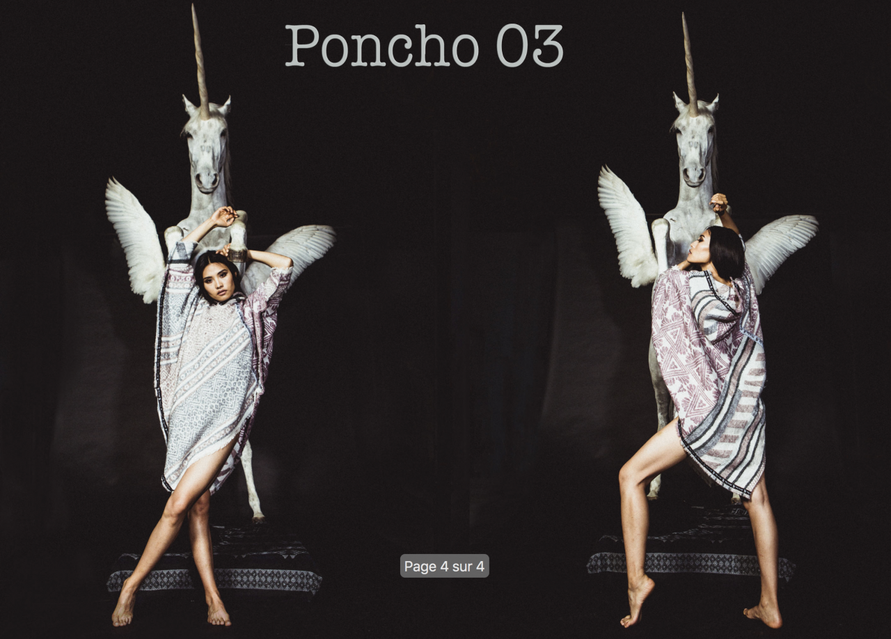 Poncho FOU DE LOU